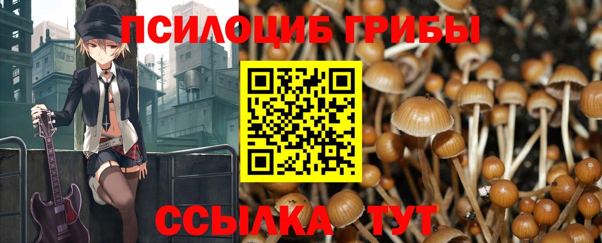 Псилоцибиновые грибы MAGIC MUSHROOMS  Вход с VPN  Миллерово 