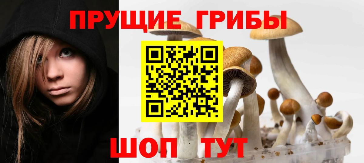 Галлюциногенные грибы прущие грибы Миллерово